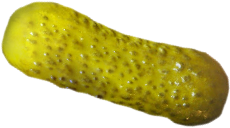 decorative image of a pickle